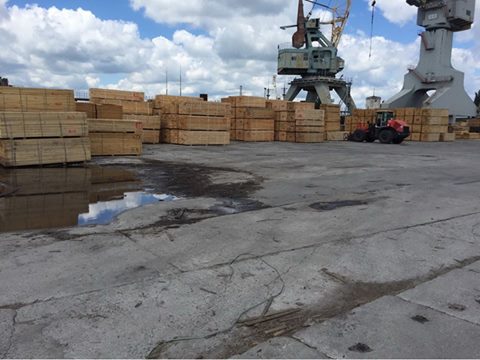 Бизнесмены спонсировали «ДНР», экспортируя лес через Херсонский порт