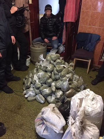 Киевские наркоторговцы семь лет поставляли коноплю со своих плантаций в столицу