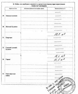 Лось из Киевской таможни шокирует крупными активами своей семьи  