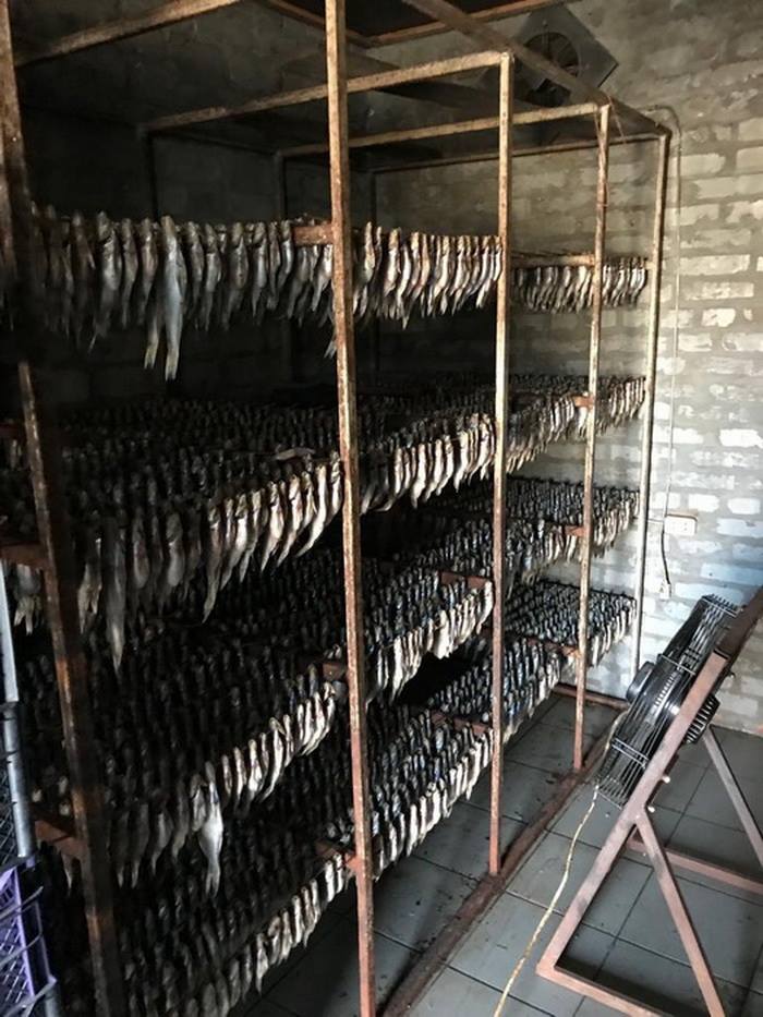 Чиновники Госрыбагентства «покрывали» браконьеров в Полтавской области  