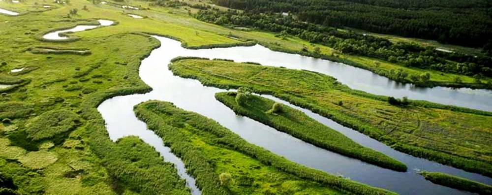 Чиновник Госгеокадастра в Харьковской области незаконно предоставил частнику земли Национального природного парка