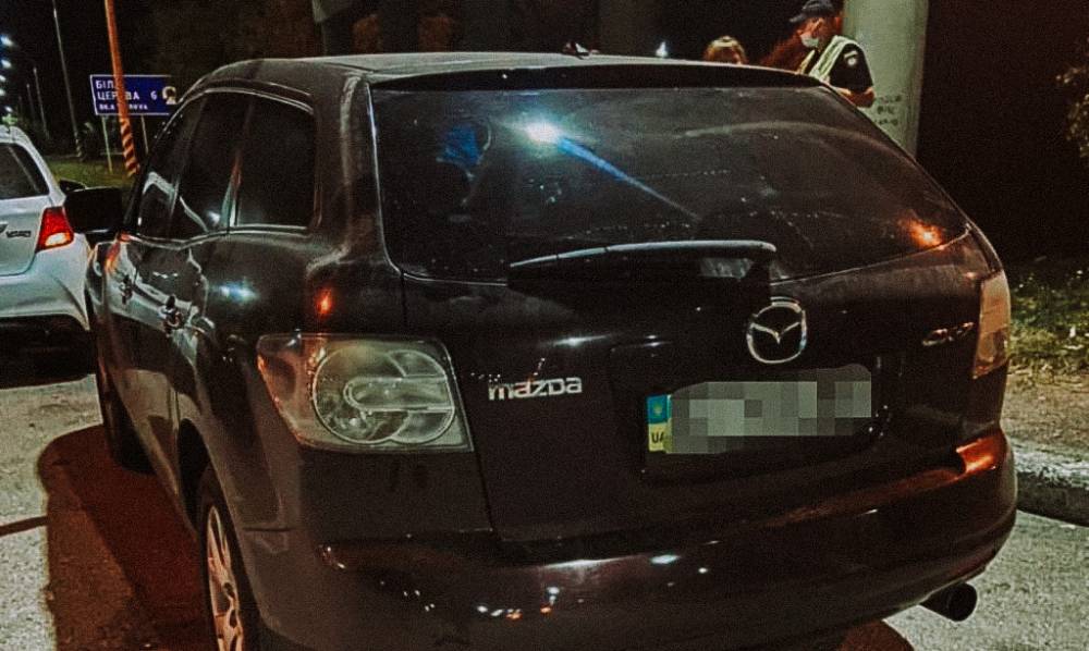 На трассе «Киев-Одесса» водитель избил двух полицейских
