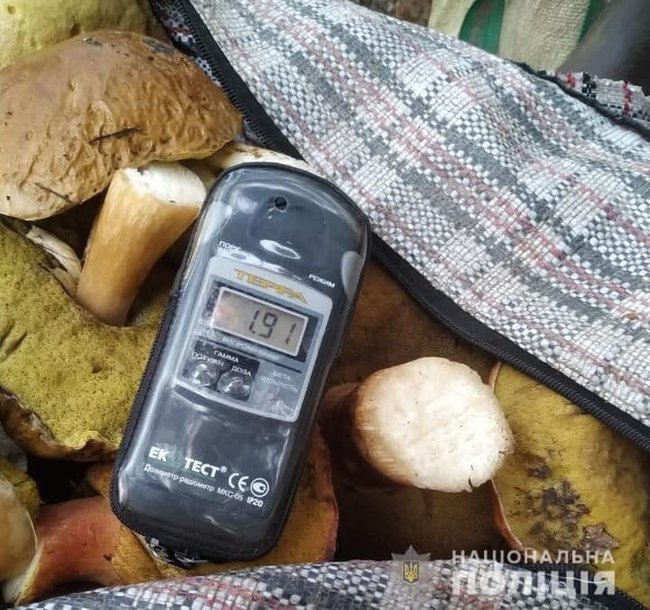 Из Чернобыльской зоны пытались вывезти груз радиоактивных грибов