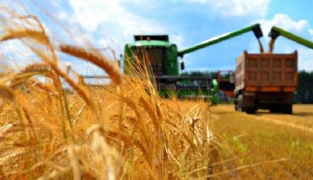 Зеленский подписал закон о снижении ставки НДС для аграриев до 14%