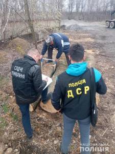 В Винницкой области чиновники лесхозов попались на воровстве древесины  