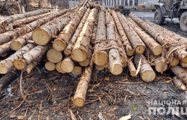 В Закарпатской области обнаружили склады с древесиной на 2 миллиона
