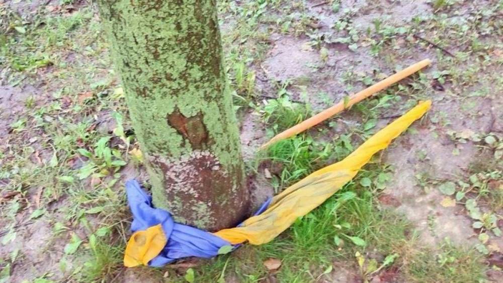 В Ровно мужчина сорвал флаг Украины