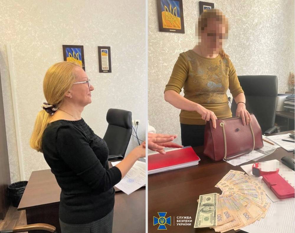 Очільниця Житомирської митниці призначала корупційні тарифи на послуги