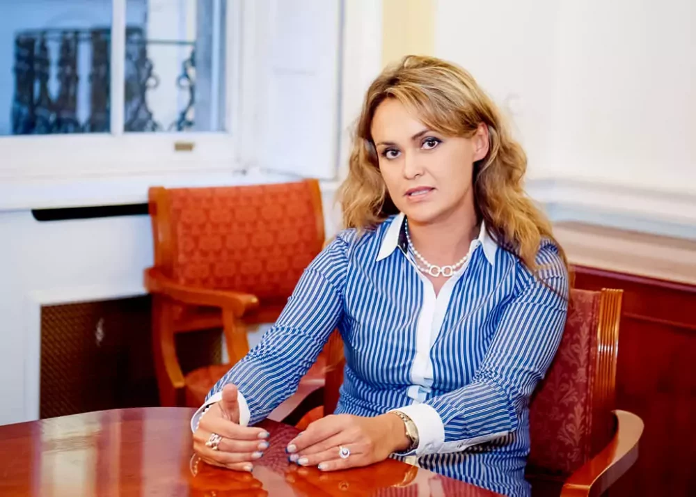 Головний сервісний центр МВС "злив" 451 млн гривень фірмі консультанта російського бізнесу у Британії  
