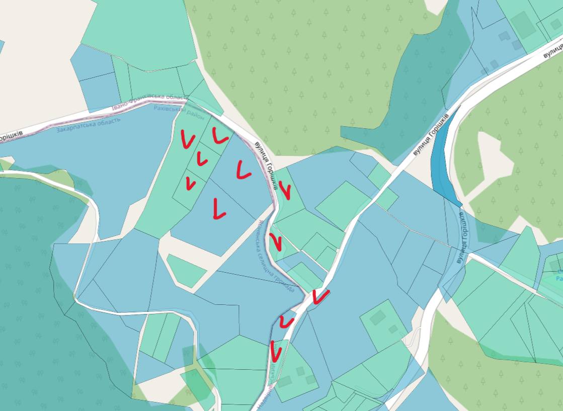 Бізнес-партнер Міндіча придбав ряд ділянок біля Буковелю для будівництва готелю та маєтків  